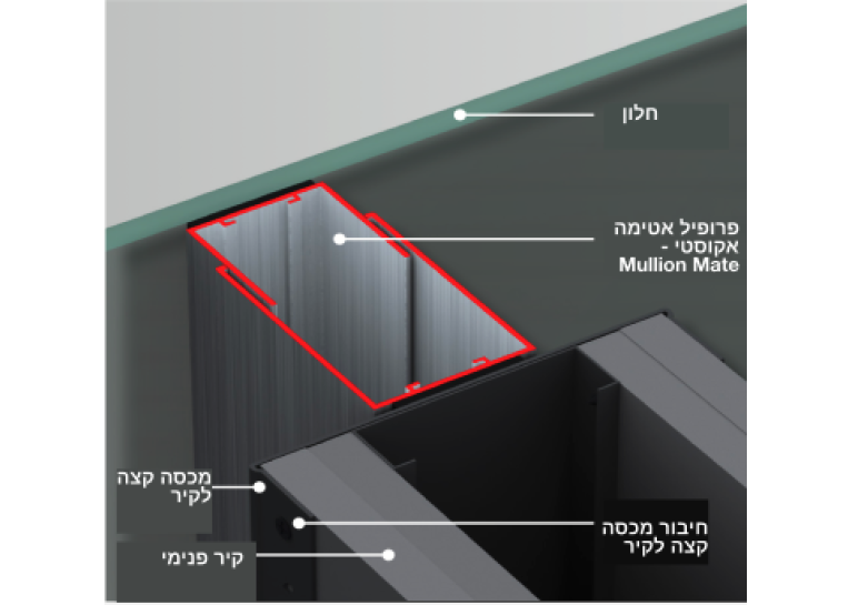 תמונה_סדרה_40